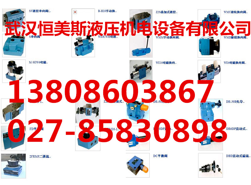 A7V117NC5.1LZGOO ,A7V117NC5.1LZGOO 柱塞泵生產(chǎn)廠家